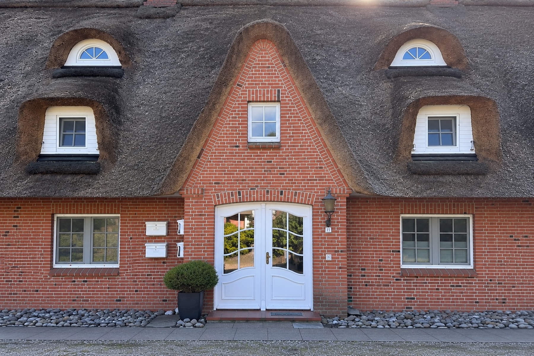 Westmöwe