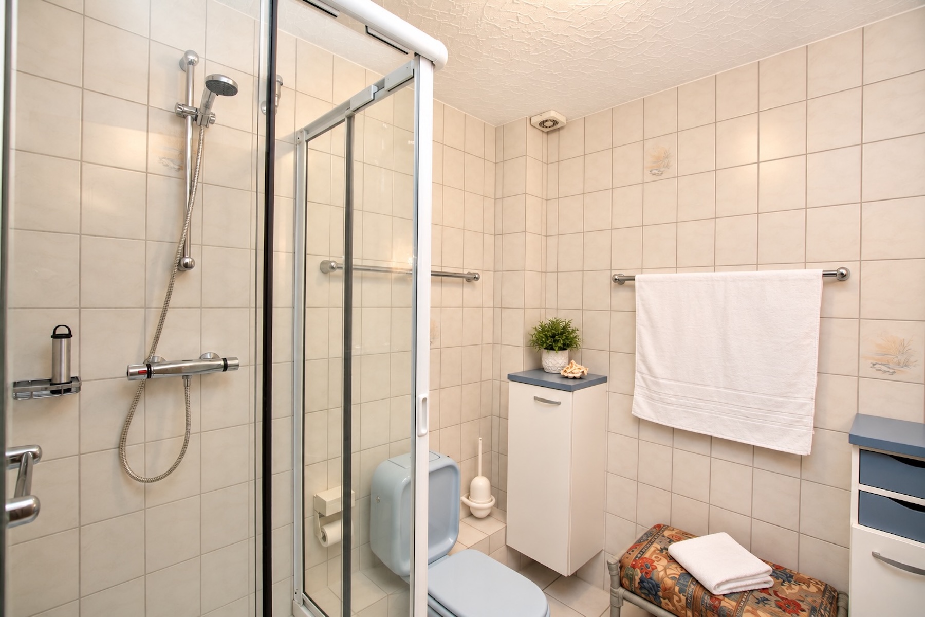 Klippenmöwe