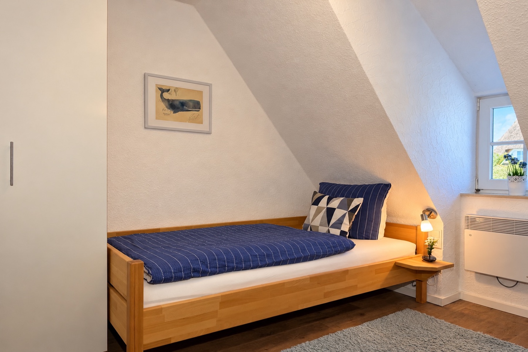 Klippenmöwe